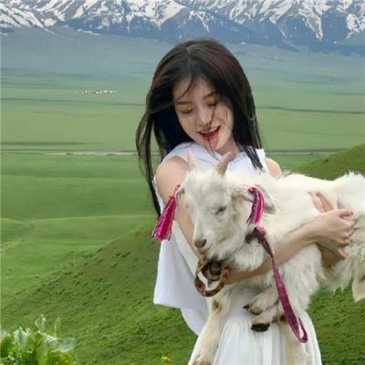 续·社长行状记